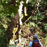 Spitaki λόχος